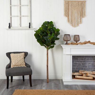 Image showing  5.5 ft. Artificial Fiddle Leaf Tree