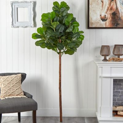 Image showing  6.5 ft. Artificial Fiddle Leaf Tree