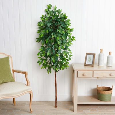 Image showing  6 ft. Artificial Ficus Tree (No Pot)