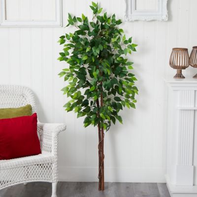 Image showing  5 ft. Artificial Double Trunk Ficus Tree