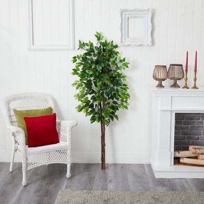 Image showing  5 ft. Artificial Double Trunk Ficus Tree