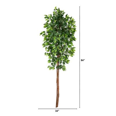 Image showing  7 ft. Artificial Double Trunk Ficus Tree