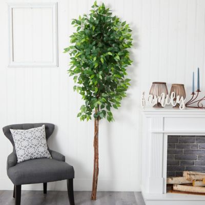 Image showing  7 ft. Artificial Double Trunk Ficus Tree