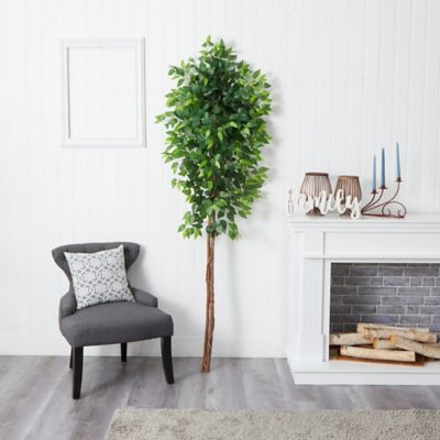 Image showing  7 ft. Artificial Double Trunk Ficus Tree