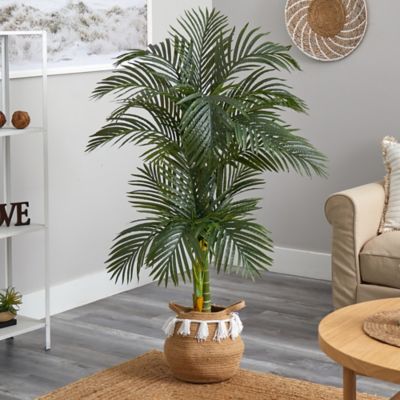 Image showing  5 ft. Artificial Double Stalk Golden Cane Palm Tree with Handmade Woven Cotton Basket