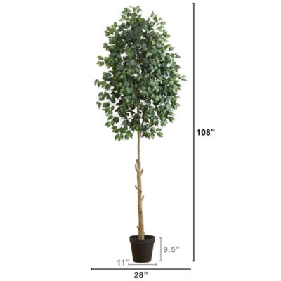 Image showing  9 ft. Artificial Ficus Tree