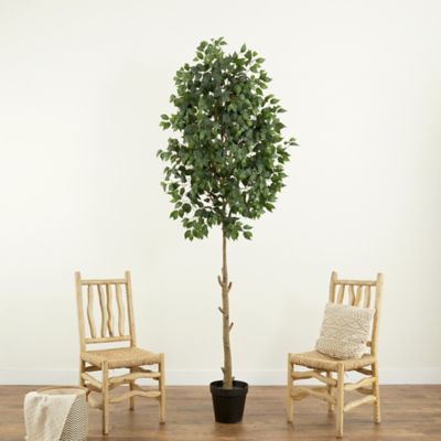 Image showing  9 ft. Artificial Ficus Tree
