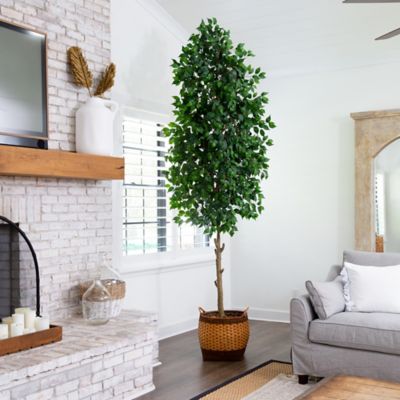 Image showing  10 ft. Artificial Ficus Tree