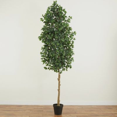 Image showing 5 th Nearly Natural 10 ft. Artificial Ficus Tree