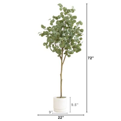 Image showing  6 ft. Artificial Eucalyptus Tree with White Decorative Planter