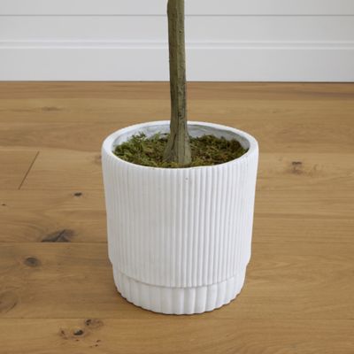 Image showing  6 ft. Artificial Eucalyptus Tree with White Decorative Planter