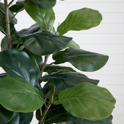 Image showing  6 ft. Artificial Fiddle Leaf Tree