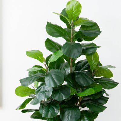 Image showing  6 ft. Artificial Fiddle Leaf Tree