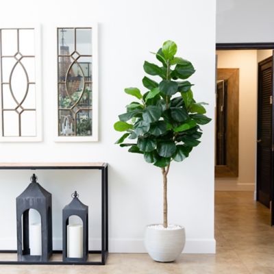 Image showing  6 ft. Artificial Fiddle Leaf Tree
