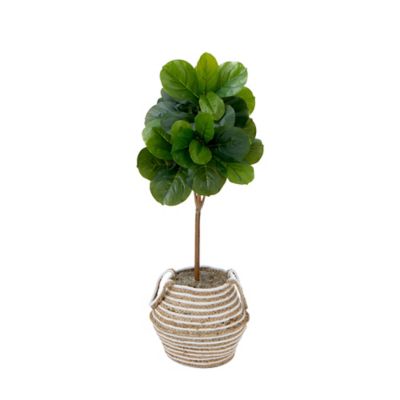 Image showing  3.5 ft. Artificial Fiddle Leaf Fig Tree with Handmade Cotton & Jute Basket with Tassels DIY KIT