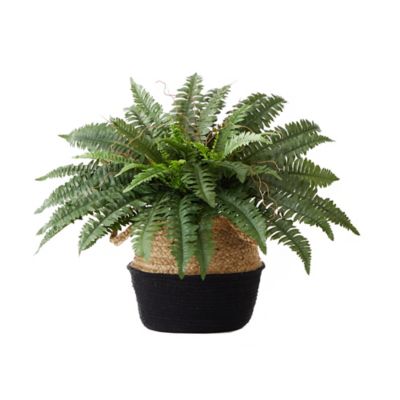 Nearly Natural 20 in. Artificial Boston Fern Plant with Handmade Jute & Cotton Basket DIY KIT