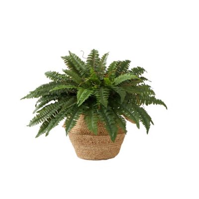Nearly Natural 20 in. Artificial Boston Fern Plant with Handmade Jute & Cotton Basket DIY KIT, Green