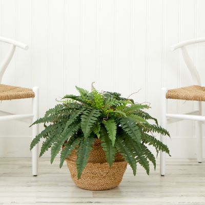 Image showing  20 in. Artificial Boston Fern Plant with Handmade Jute & Cotton Basket DIY KIT, Green