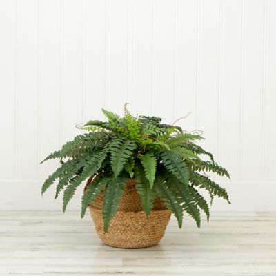 Image showing  20 in. Artificial Boston Fern Plant with Handmade Jute & Cotton Basket DIY KIT, Green