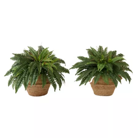 Nearly Natural 23" Artificial Boston Fern with Handmade Jute and Cotton Basket with Handles DIY KIT (Set of 2) Artificial Plants & Flowers