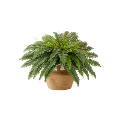 Nearly Natural 23 in. Artificial Boston Fern Plant in Handmade Jute & Cotton Basket with Tassels DIY KIT