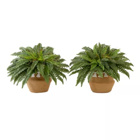 Nearly Natural 23 in Artificial Boston Fern Plant with Handmade Jute and Cotton Basket with Pom Pom Craft Kit (Set of 2) Artificial Plants & Flowers