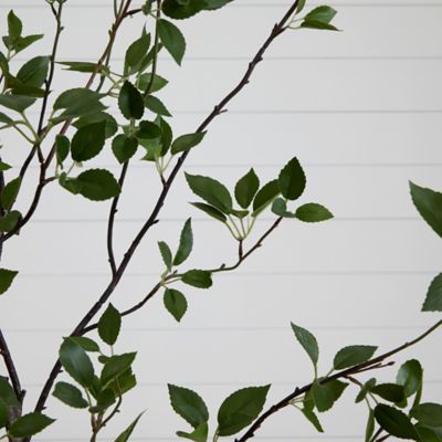 Image showing  8 ft. Minimalist Artificial Citrus Tree