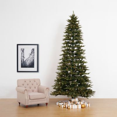 Image showing  11 ft. Pre-Lit Belgium Fir Natural-Look Christmas Tree, 1,250 Clear LED Lights & 4,222 Bendable Branches