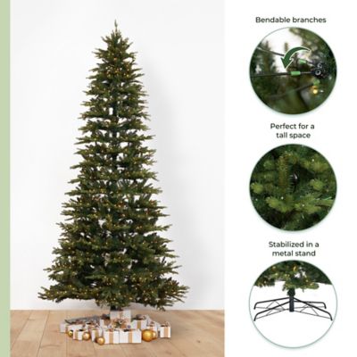 Image showing 8 th Nearly Natural 11 ft. Pre-Lit Belgium Fir Natural-Look Christmas Tree, 1,250 Clear LED Lights & 4,222 Bendable Branches