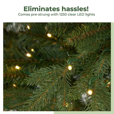 Image showing 9 th Nearly Natural 11 ft. Pre-Lit Belgium Fir Natural-Look Christmas Tree, 1,250 Clear LED Lights & 4,222 Bendable Branches