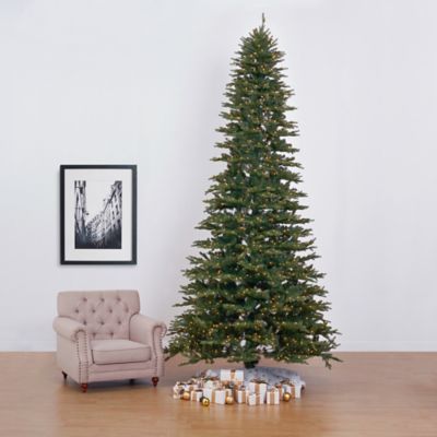 Image showing  11 ft. Pre-Lit Belgium Fir Natural-Look Christmas Tree, 1,250 Clear LED Lights & 4,222 Bendable Branches