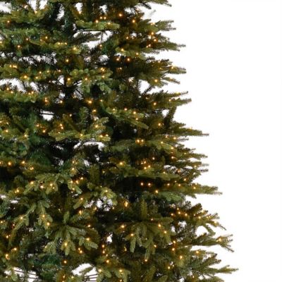 Image showing  11 ft. Pre-Lit Belgium Fir Natural-Look Christmas Tree, 1,250 Clear LED Lights & 4,222 Bendable Branches