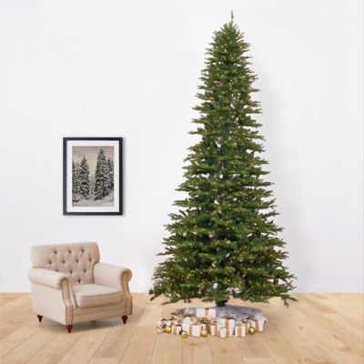 Image showing 6 th Nearly Natural 11 ft. Pre-Lit Belgium Fir Natural-Look Christmas Tree, 1,250 Clear LED Lights & 4,222 Bendable Branches