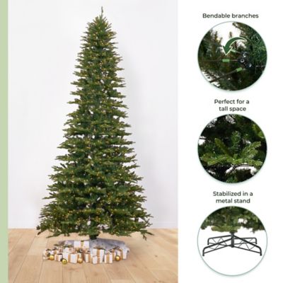 Image showing 7 th Nearly Natural 11 ft. Pre-Lit Belgium Fir Natural-Look Christmas Tree, 1,250 Clear LED Lights & 4,222 Bendable Branches