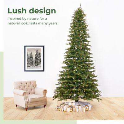 Image showing 8 th Nearly Natural 11 ft. Pre-Lit Belgium Fir Natural-Look Christmas Tree, 1,250 Clear LED Lights & 4,222 Bendable Branches