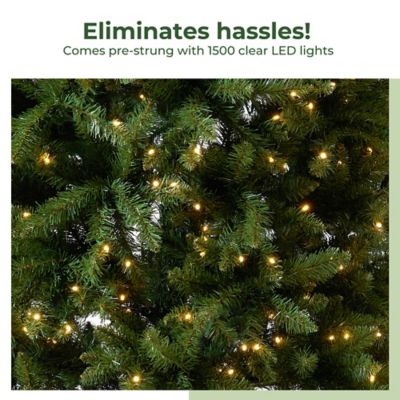 Image showing 9 th Nearly Natural 11 ft. Pre-Lit Belgium Fir Natural-Look Christmas Tree, 1,250 Clear LED Lights & 4,222 Bendable Branches