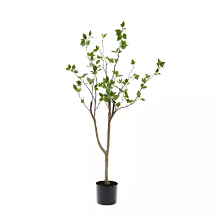 Almost Natural 4 Foot Minimalist Artificial Citrus Tree Artificial Plants & Flowers