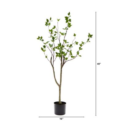 Image showing  4 ft. Minimalist Artificial Citrus Tree