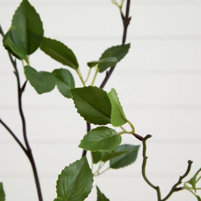 Image showing  4 ft. Minimalist Artificial Citrus Tree