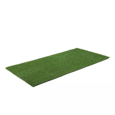 Red Shed Plush Artificial Grass 3 ft x 6 ft. Artificial Plants & Flowers