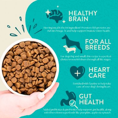 Image showing 3 th Earthborn Holistic EBH 4LB COAST CTCH