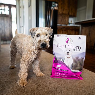 Image showing 2 th Earthborn Holistic Meadow Feast, 4 lb.