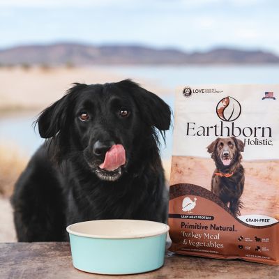 Image showing 2 th Earthborn Holistic Primitive Natural, 4 lb.