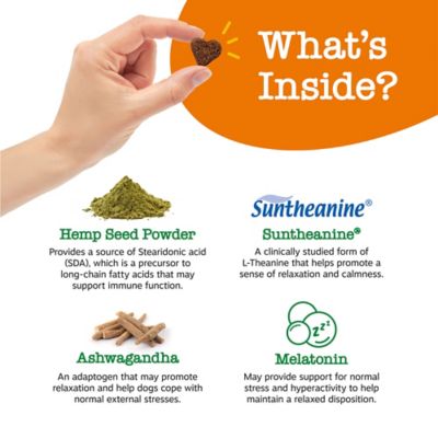 Image showing  Hemp Calming Bite, Turkey Bacon, 90 ct.