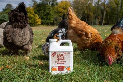 Image showing  Holiday Zen House Coop Deodorizer, 2.5 lb.