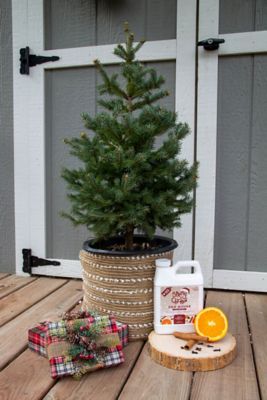 Image showing  Holiday Zen House Coop Deodorizer, 2.5 lb.