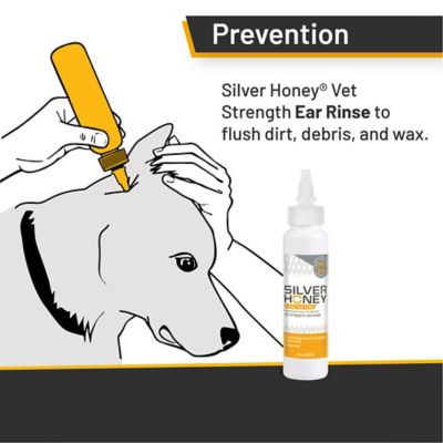 Image showing  Silver Honey Rapid Ear Care Vet Strength Ear Rinse for Cats and Dogs, 4 oz.