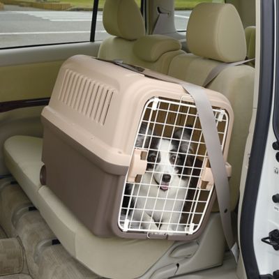 Image showing  E-Z Mobile 1-Door Polyethylene Pet Carrier with Wheels