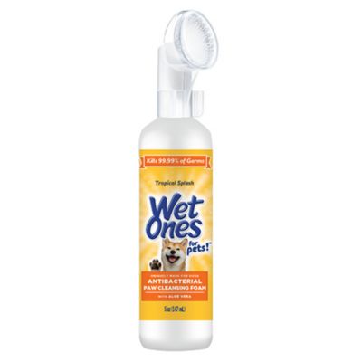 Fetch For Pets Wet One's Antibacterial Paw Cleansing Foam, Tropical Splash