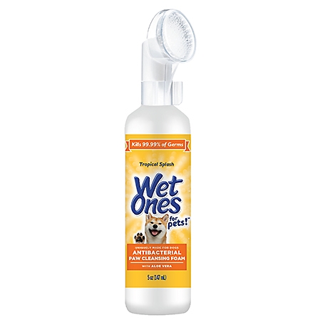 Fetch For Pets Wet One's Antibacterial Paw Cleansing Foam, Tropical Splash